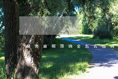 税务逾期滞纳金怎么缴纳