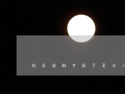 税务逾期申报不是法人可以吗 税务逾期申报不是法人可以吗