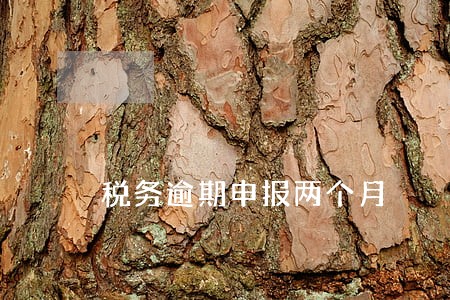 税务逾期申报两个月