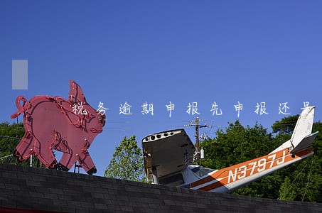 税务逾期申报先申报还是处 税务逾期申报先申报还是处