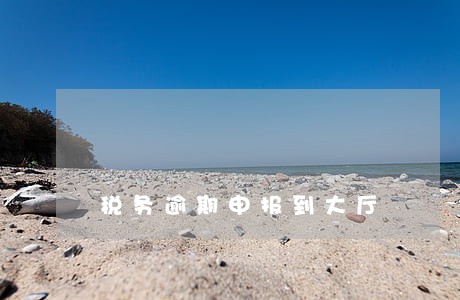 税务逾期申报到大厅 税务逾期申报到大厅