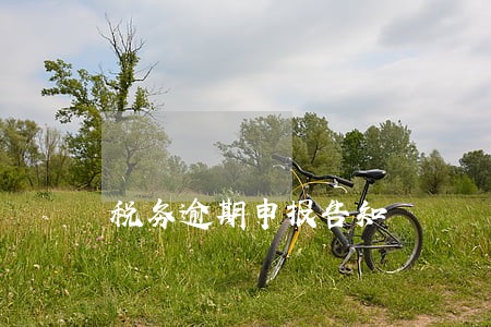 税务逾期申报告知 税务逾期申报告知