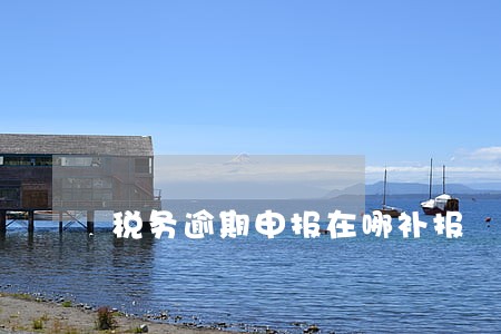 税务逾期申报在哪补报 税务逾期申报在哪补报