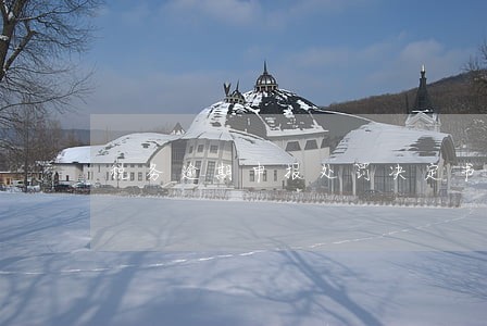 税务逾期申报处罚决定书 税务逾期申报处罚决定书