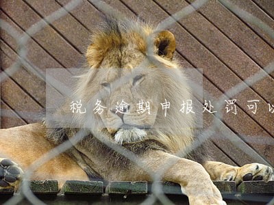 税务逾期申报处罚可以找人吗 税务逾期申报处罚可以找人吗