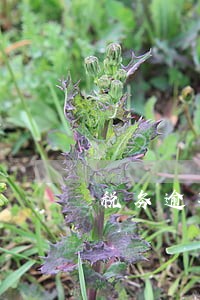 税务逾期申报处罚深圳 税务逾期申报处罚深圳