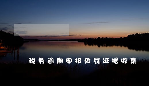税务逾期申报处罚证据收集 税务逾期申报处罚证据收集