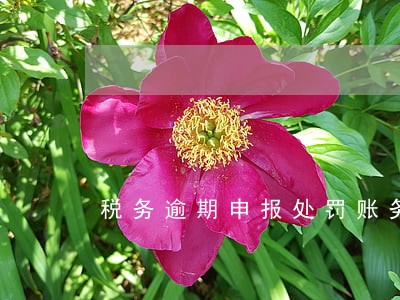 税务逾期申报处罚账务处理 税务逾期申报处罚账务处理