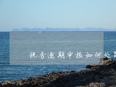 税务逾期申报如何处罚郑州 税务逾期申报如何处罚郑州