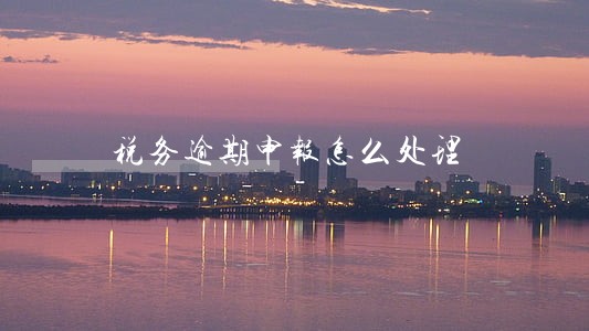 税务逾期申报怎么处理 税务逾期申报怎么处理
