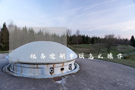 税务逾期申报怎么操作 税务逾期申报怎么操作
