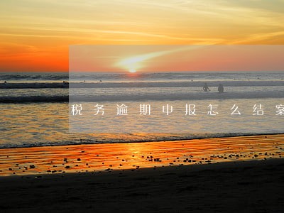 税务逾期申报怎么结案 税务逾期申报怎么结案