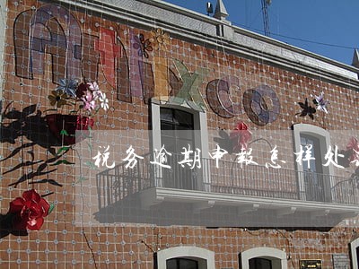 税务逾期申报怎样处罚 税务逾期申报怎样处罚