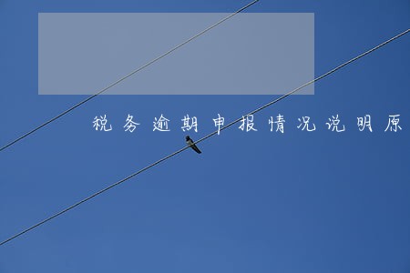 税务逾期申报情况说明原因 税务逾期申报情况说明原因