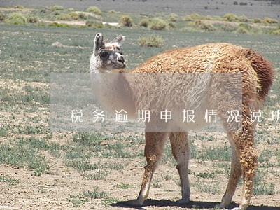 税务逾期申报情况说明理由 税务逾期申报情况说明理由