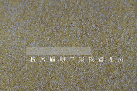 税务逾期申报找管理员 税务逾期申报找管理员