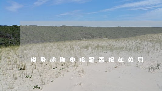 税务逾期申报是否按此处罚 税务逾期申报是否按此处罚