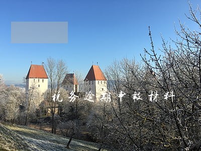 税务逾期申报材料