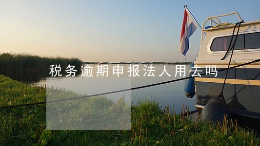 税务逾期申报法人用去吗 税务逾期申报法人用去吗