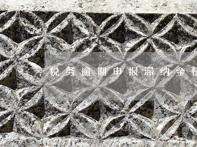 税务逾期申报滞纳金征收标准 税务逾期申报滞纳金征收标准