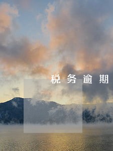 税务逾期申报申请 税务逾期申报申请