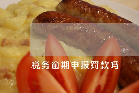 税务逾期申报罚款吗