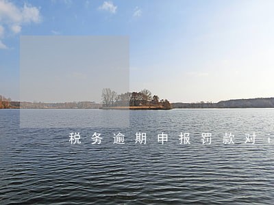 税务逾期申报罚款对ipo的影响