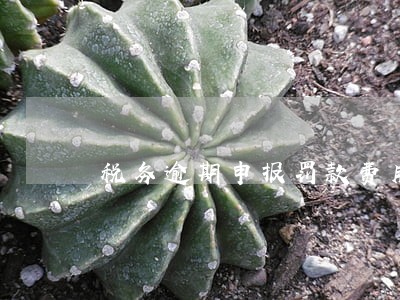 税务逾期申报罚款费用多少钱