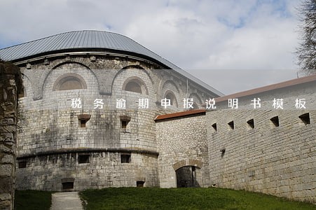 税务逾期申报说明书模板文库 税务逾期申报说明书模板文库