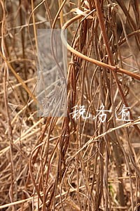 税务逾期登记180以下 税务逾期登记180以下