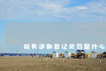 税务逾期登记处罚是什么
