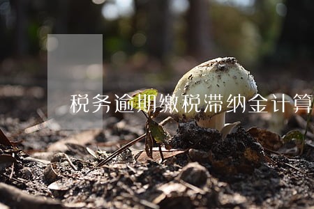 税务逾期缴税滞纳金计算办法 税务逾期缴税滞纳金计算办法