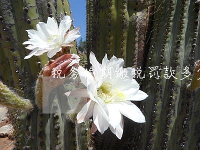 税务逾期缴税罚款多少钱 税务逾期缴税罚款多少钱