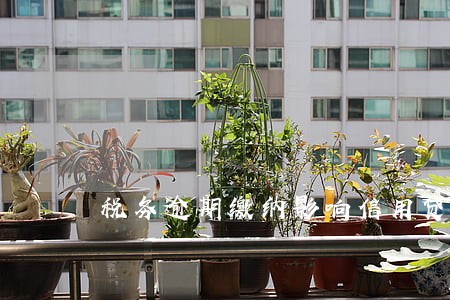 税务逾期缴纳影响信用贷款吗 税务逾期缴纳影响信用贷款吗