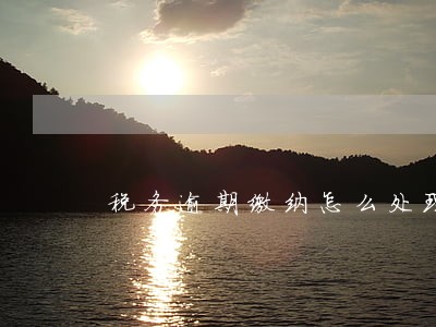 税务逾期缴纳怎么处理 税务逾期缴纳怎么处理