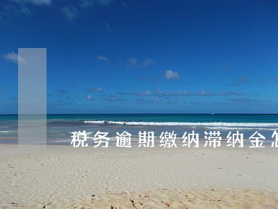 税务逾期缴纳滞纳金怎么算 税务逾期缴纳滞纳金怎么算