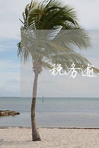 税务逾期缴纳税款