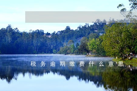 税务逾期缴费什么意思 税务逾期缴费什么意思