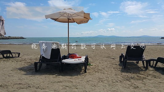 税务逾期罚款可以网上交吗 税务逾期罚款可以网上交吗