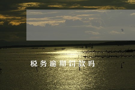 税务逾期罚款吗 税务逾期罚款吗