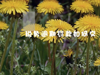 税务逾期罚款如何交 税务逾期罚款如何交