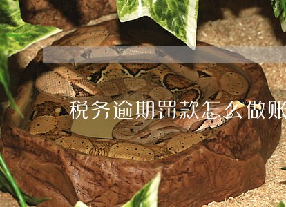 税务逾期罚款怎么做账 税务逾期罚款怎么做账