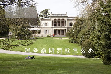 税务逾期罚款怎么办 税务逾期罚款怎么办