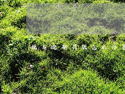 税务逾期罚款怎么计算 税务逾期罚款怎么计算