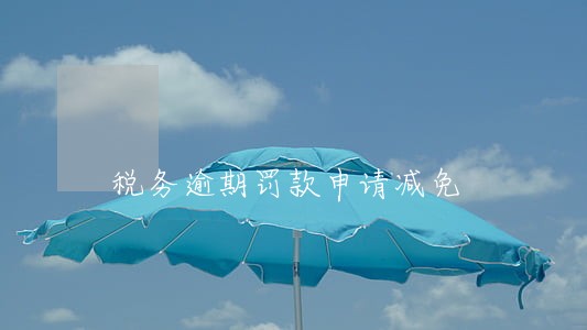 税务逾期罚款申请减免 税务逾期罚款申请减免