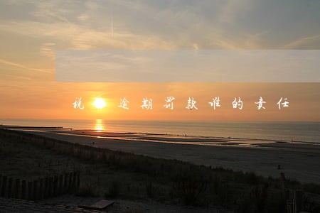 税务逾期罚款谁的责任 税务逾期罚款谁的责任