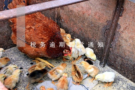 税务逾期罚款通知 税务逾期罚款通知