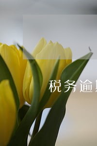 税务逾期补办 税务逾期补办
