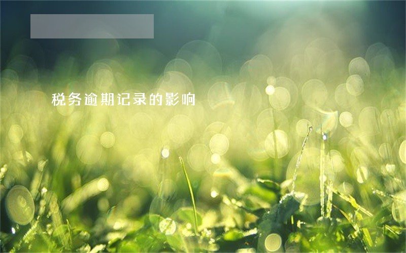 税务逾期记录的影响 税务逾期记录的影响