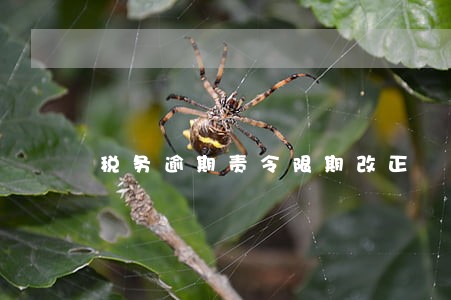 税务逾期责令限期改正 税务逾期责令限期改正